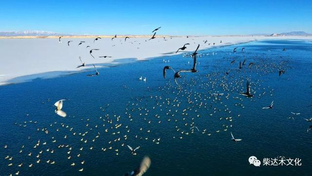 青海托素湖出现国内罕见景象
