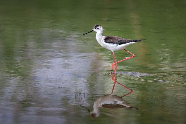 湟水河:水城相依入画来