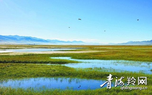 祁连山——中国湿岛