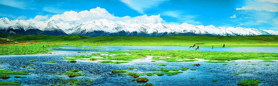 生态,让青海“靓”起来