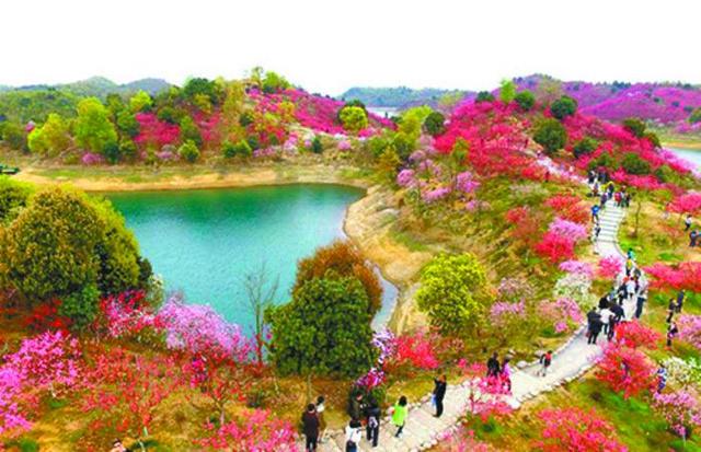 春暖花开“浪”山去