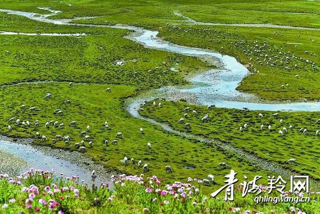 祁连山——中国湿岛