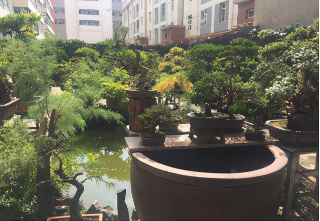 城中区南滩街道办事处：同建绿色家园 共享鸟语花香